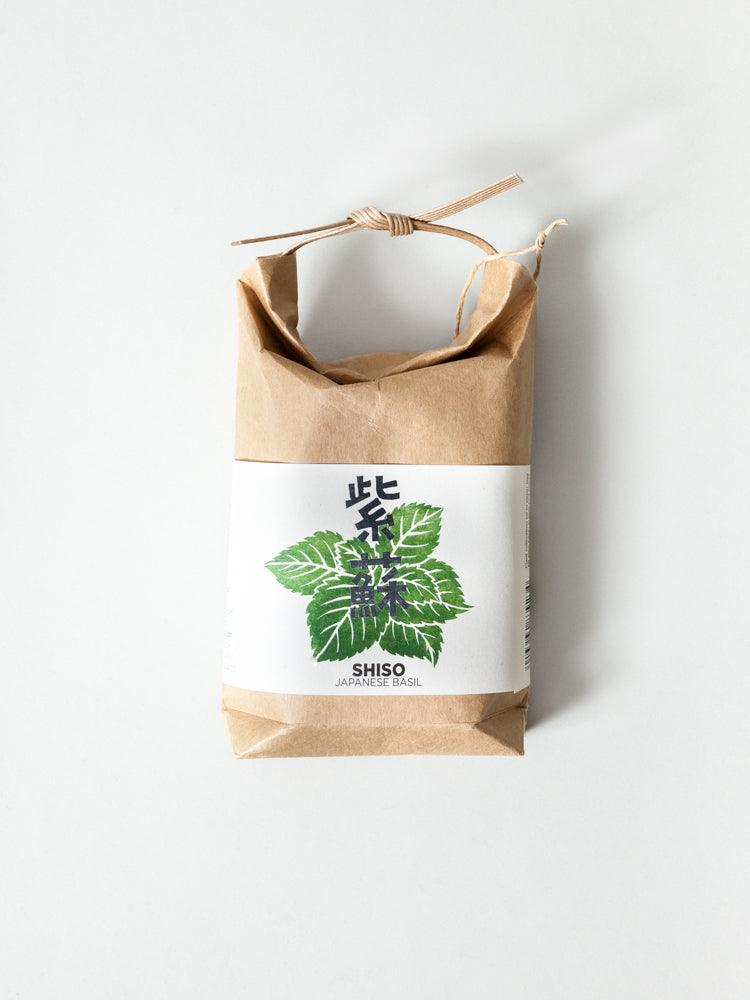 Cultivate & Eat Planting Set - Shiso Japanese Basil - Image 2