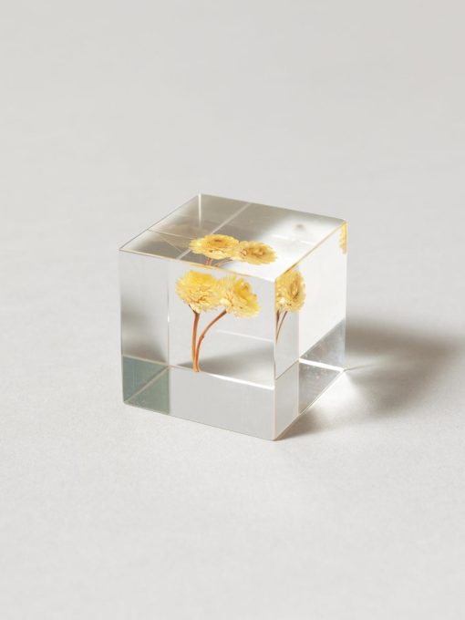Sola Cube - Immortelle (Imōteru)